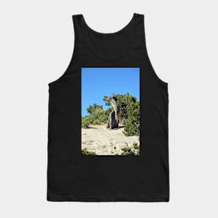 Twisted Tree Tank Top